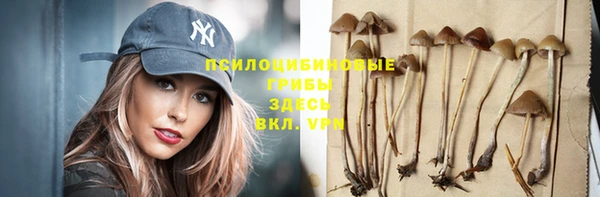 дмт Михайлов