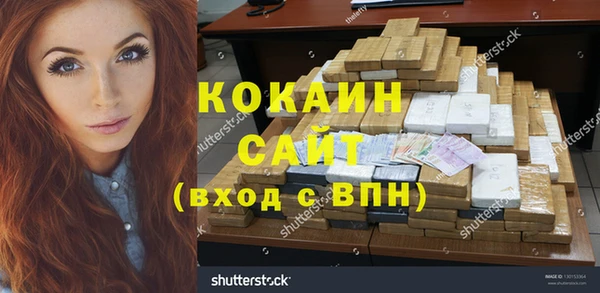 твердый Мегион