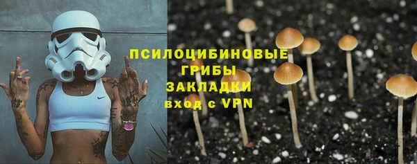 дмт Михайлов