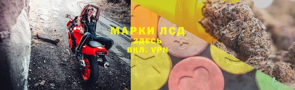 ГАЛЛЮЦИНОГЕННЫЕ ГРИБЫ Покровск