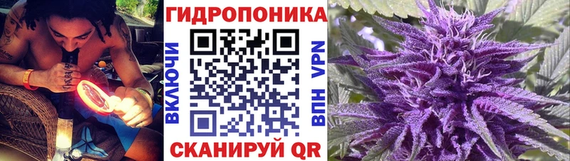 Марихуана гибрид Куровское